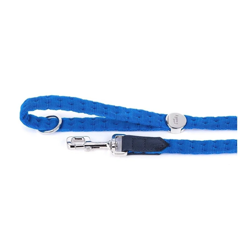 MyFamily Milano light blue Italian nylon dog leash with white bronze hardware