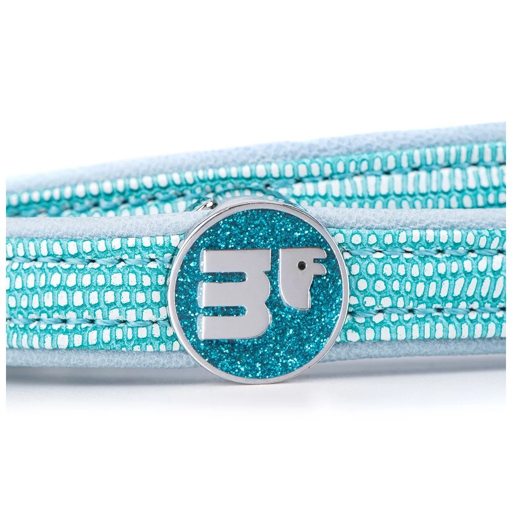 MyFamily Saint Tropez Turquoise Synthetic Fiber Dog Leash