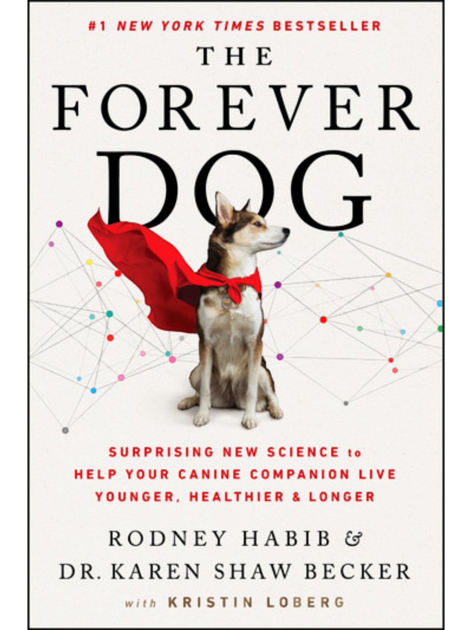 The Forever Dog: Rodney Habib