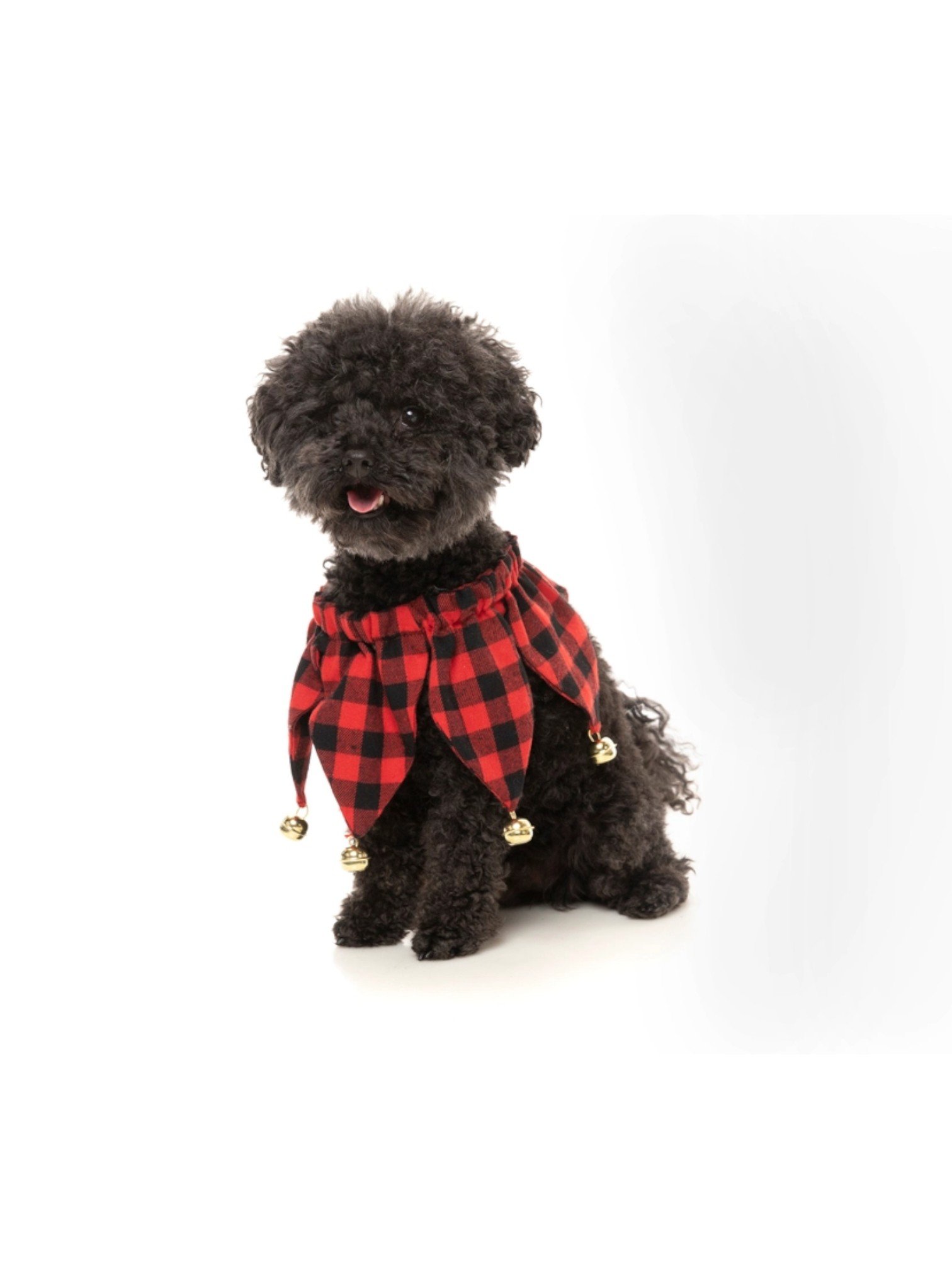 Fuzzyard Jester Collar