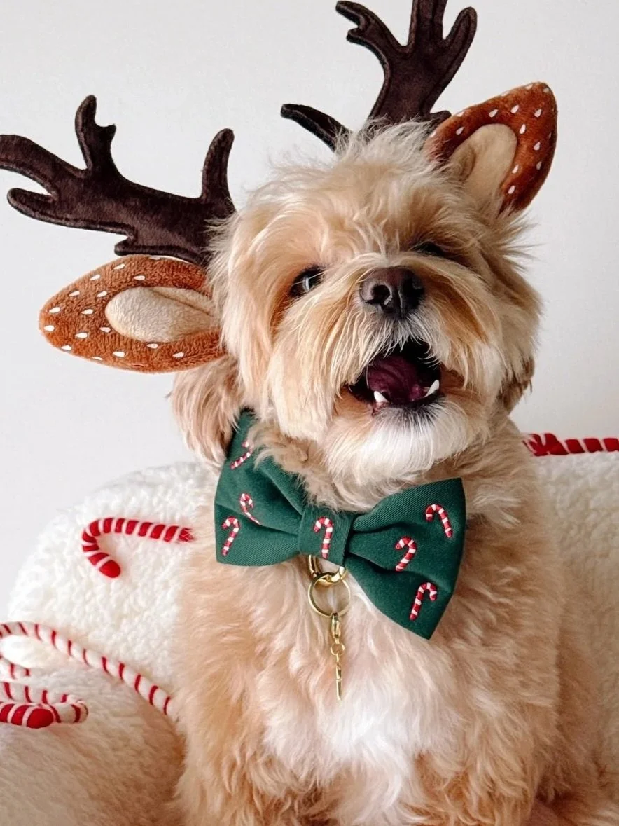Candy Canes Embroidered Dog Holiday Bow Tie | The Foggy Dog