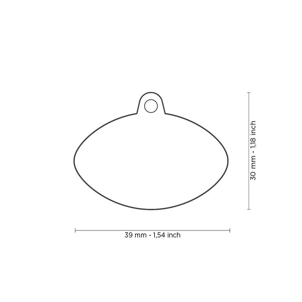 MyFamily Charms Big American Football pet ID tag