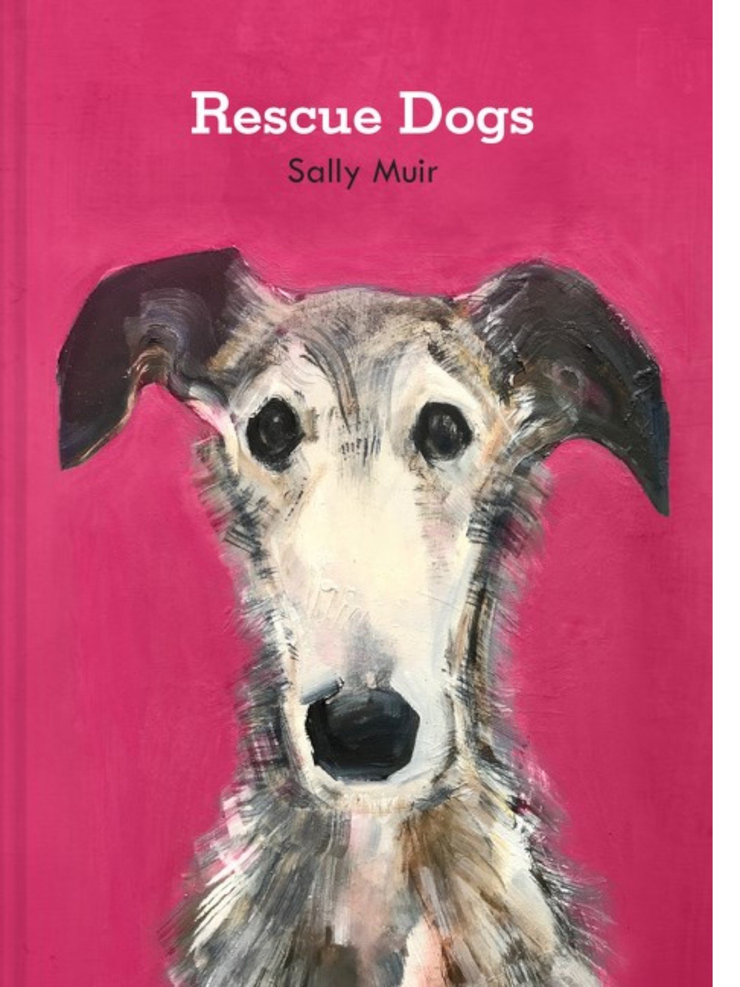 Rescue Dogs: Sally Muir