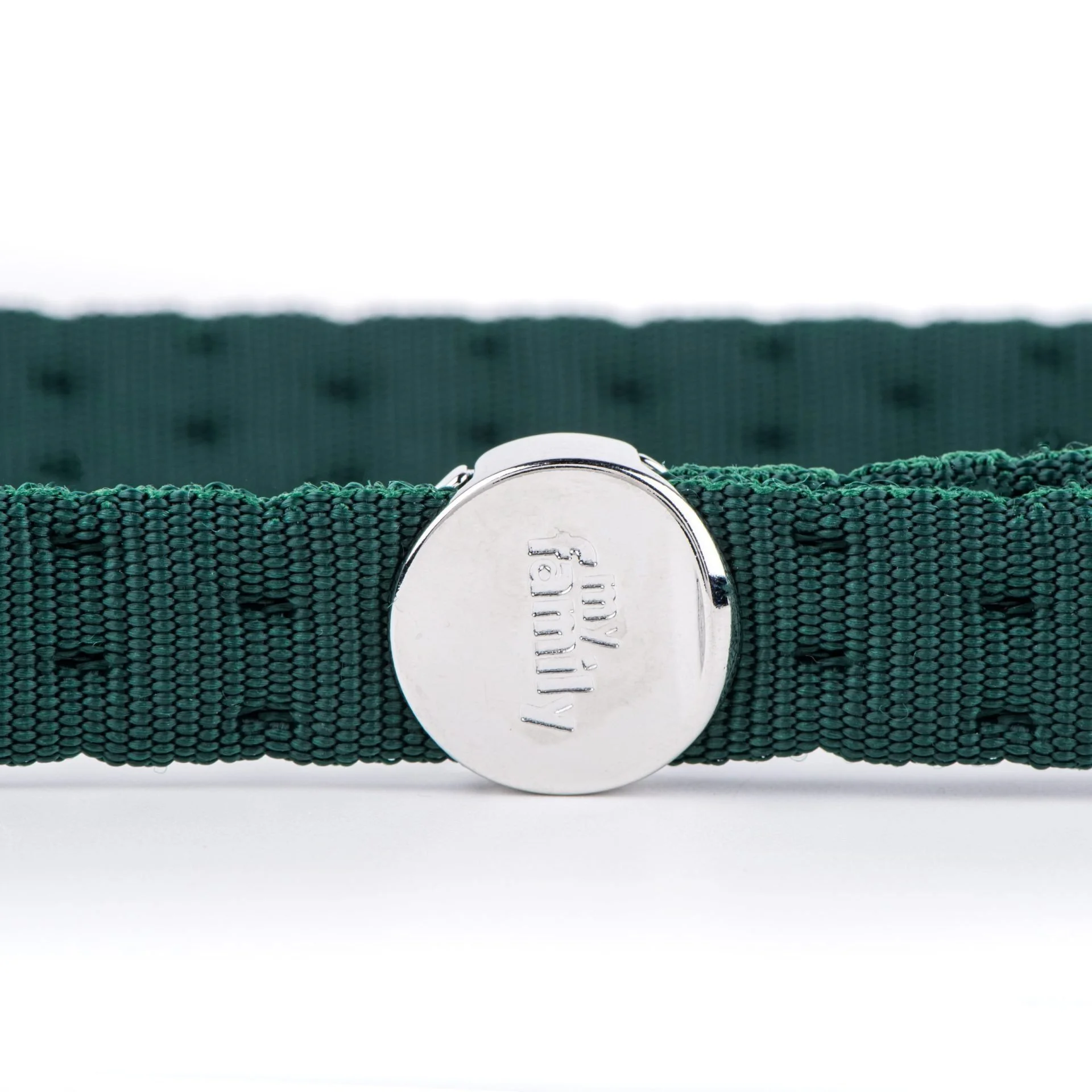 MyFamily Milano green Italian nylon dog leash with white bronze hardware