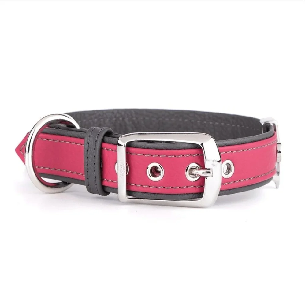 MyFamily+Firenze+Fuchsia+Genuine+Leather+Dog+Collar+%284%29.jpg