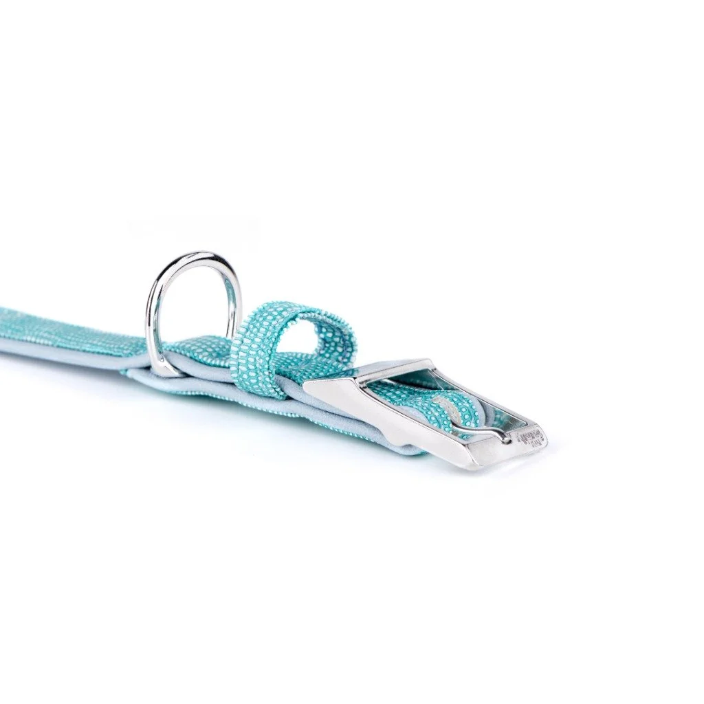 MyFamily Saint Tropez turquoise synthetic fiber dog collar