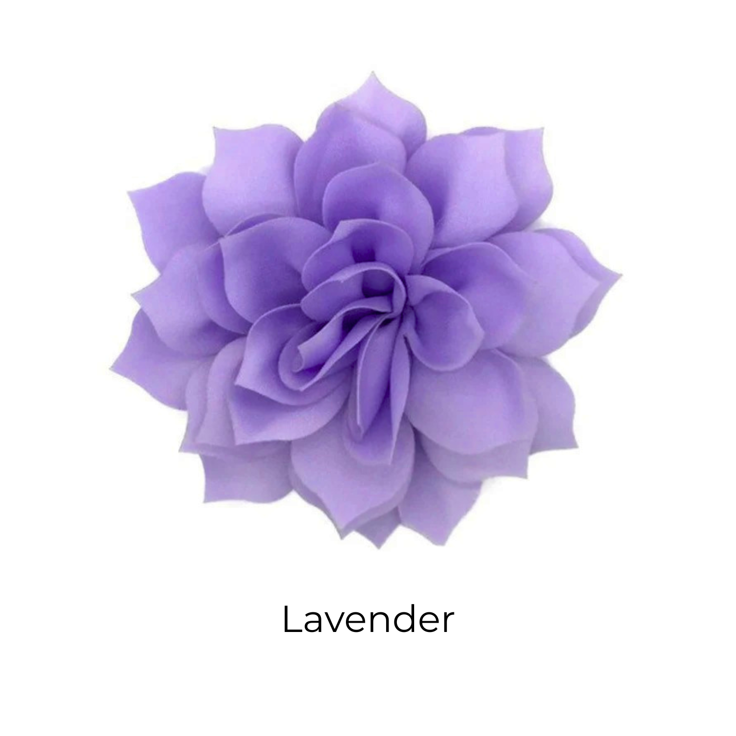 16.png