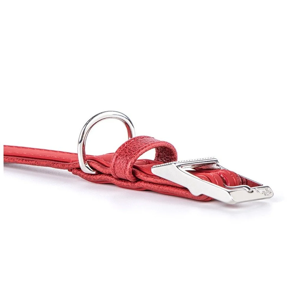 Red synthetic fiber dog collar designed for comfortable everyday wear with durable construction and classic outdoor-inspired style.