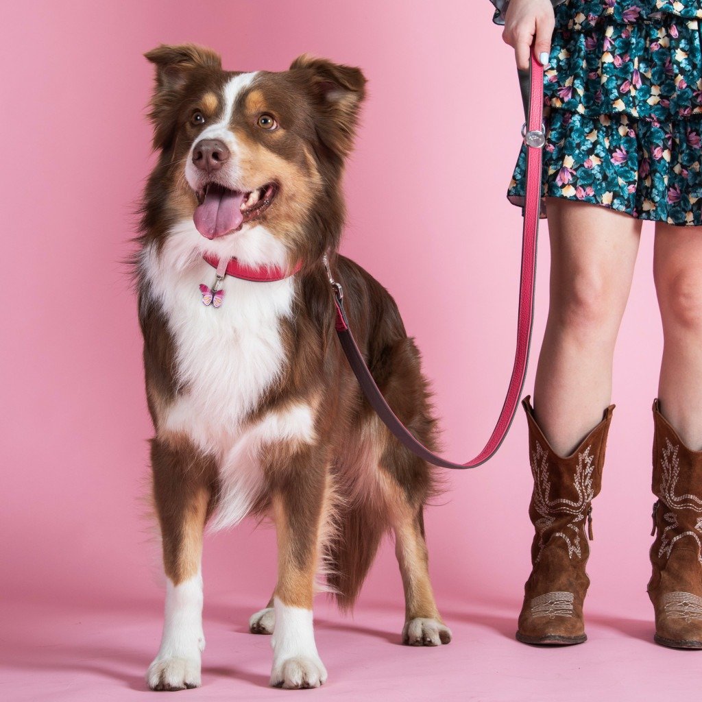 MyFamily Firenze fuchsia genuine leather dog collar
