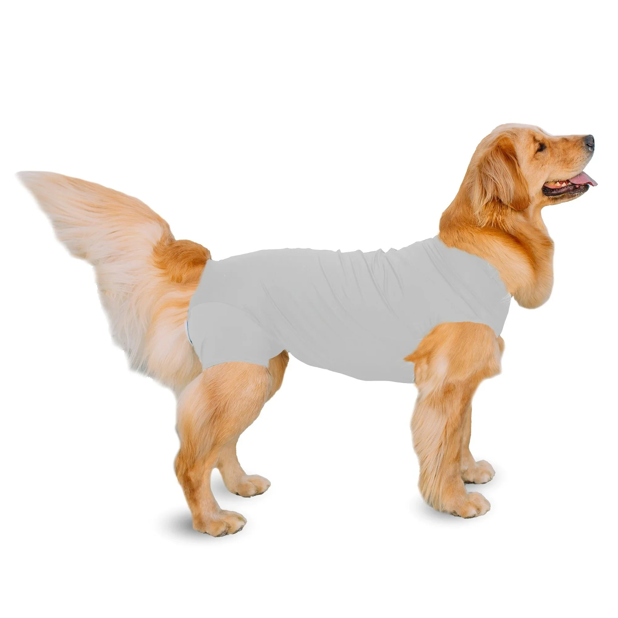 Shed Defender Onesie for Dogs | Recovery