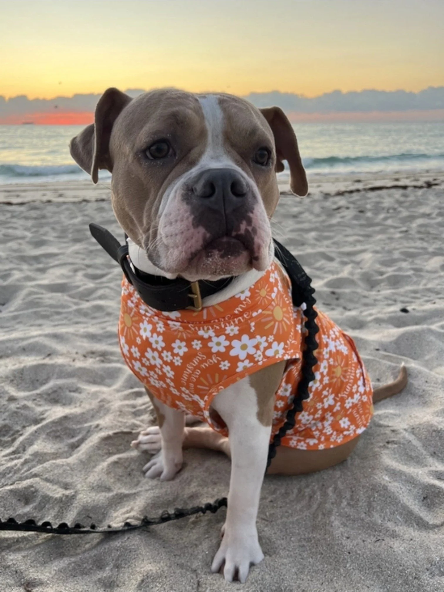 You Are My Sunshine Muscle Tee