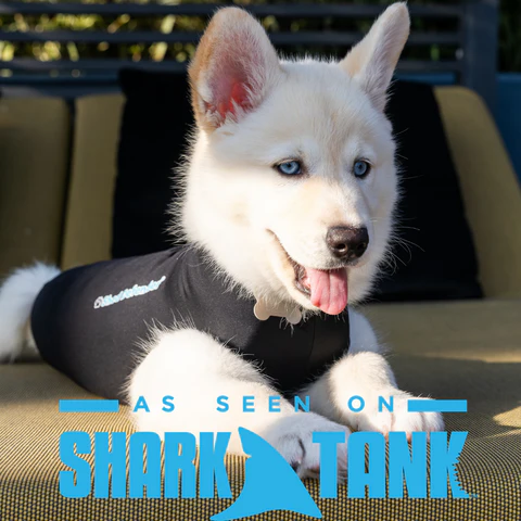 Shed Defender recovery onesie bodysuit for dogs