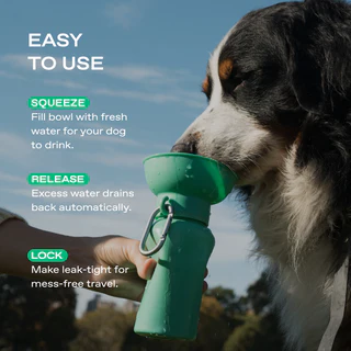 Springland Pets 20 oz Flip travel dog water bottle in Green with collapsible silicone bowl and carabiner (2).png