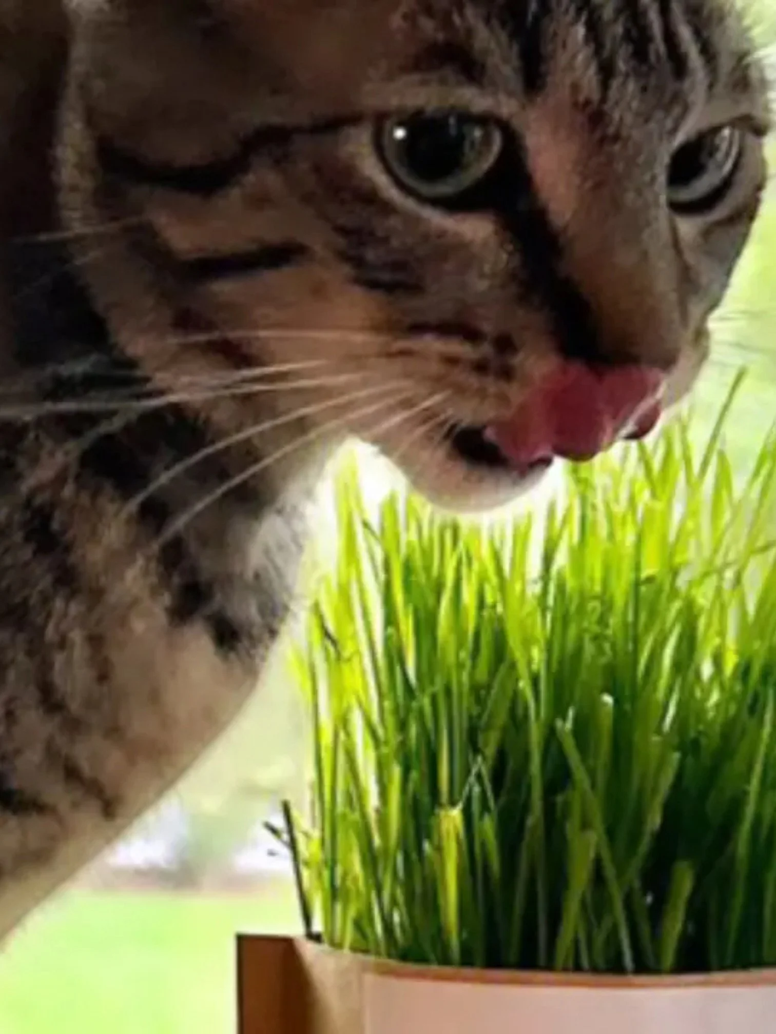 18da23d4b4426105b2eaaa804729d6f8a9673ef09375dd10b8046e8f73f8309a.jpg (Copy)