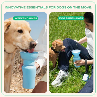 Springland Pets 20 oz Flip travel dog water bottle in Sky Blue with collapsible silicone bowl and carabiner (3).png