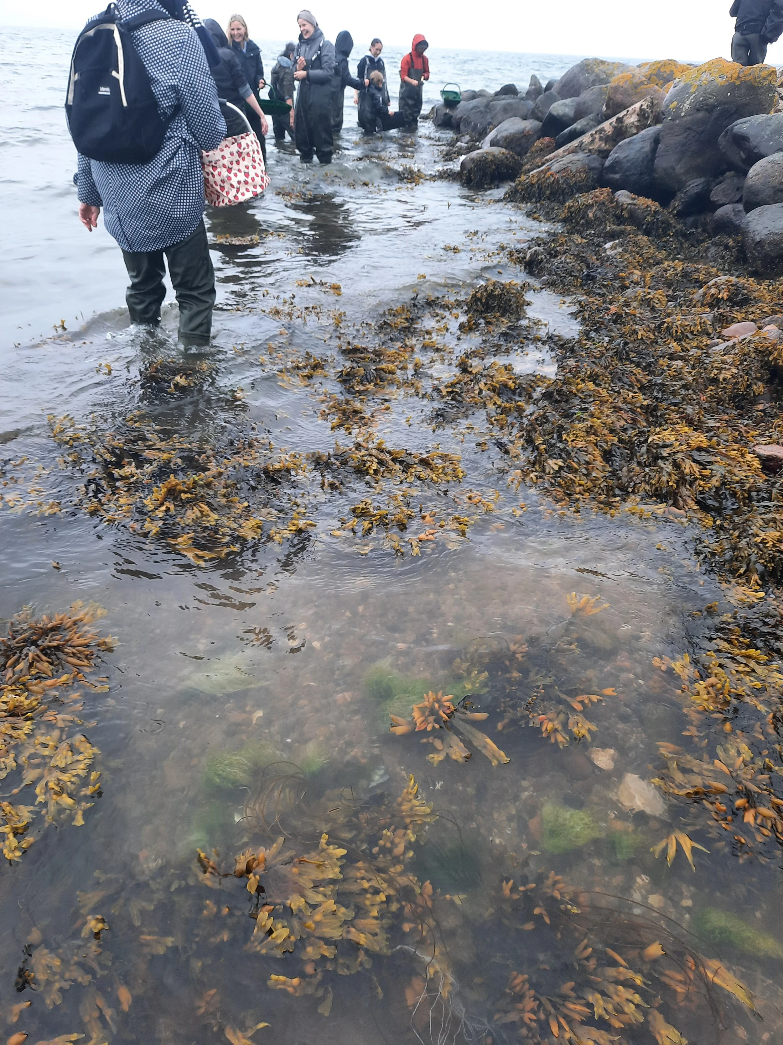 Blåflag for Hedensted Kommune