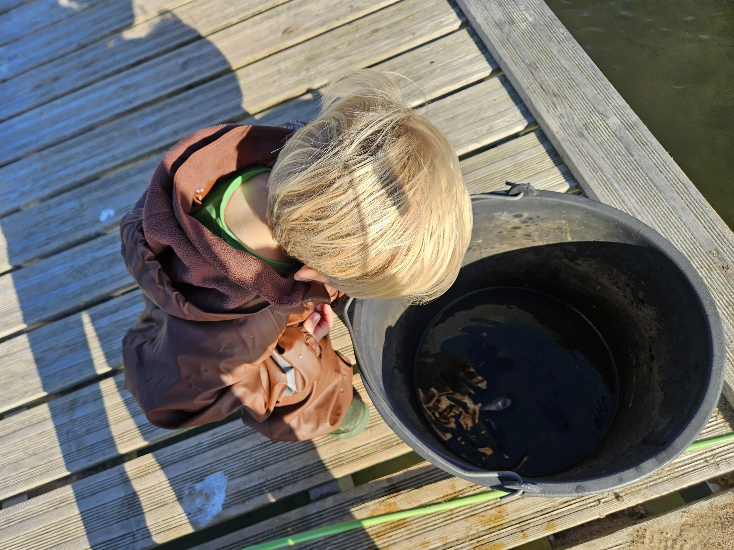 En ung dreng med blond hår sidder på en træplatform ved vandet og kigger ned i en sort balje fyldt med vand.
