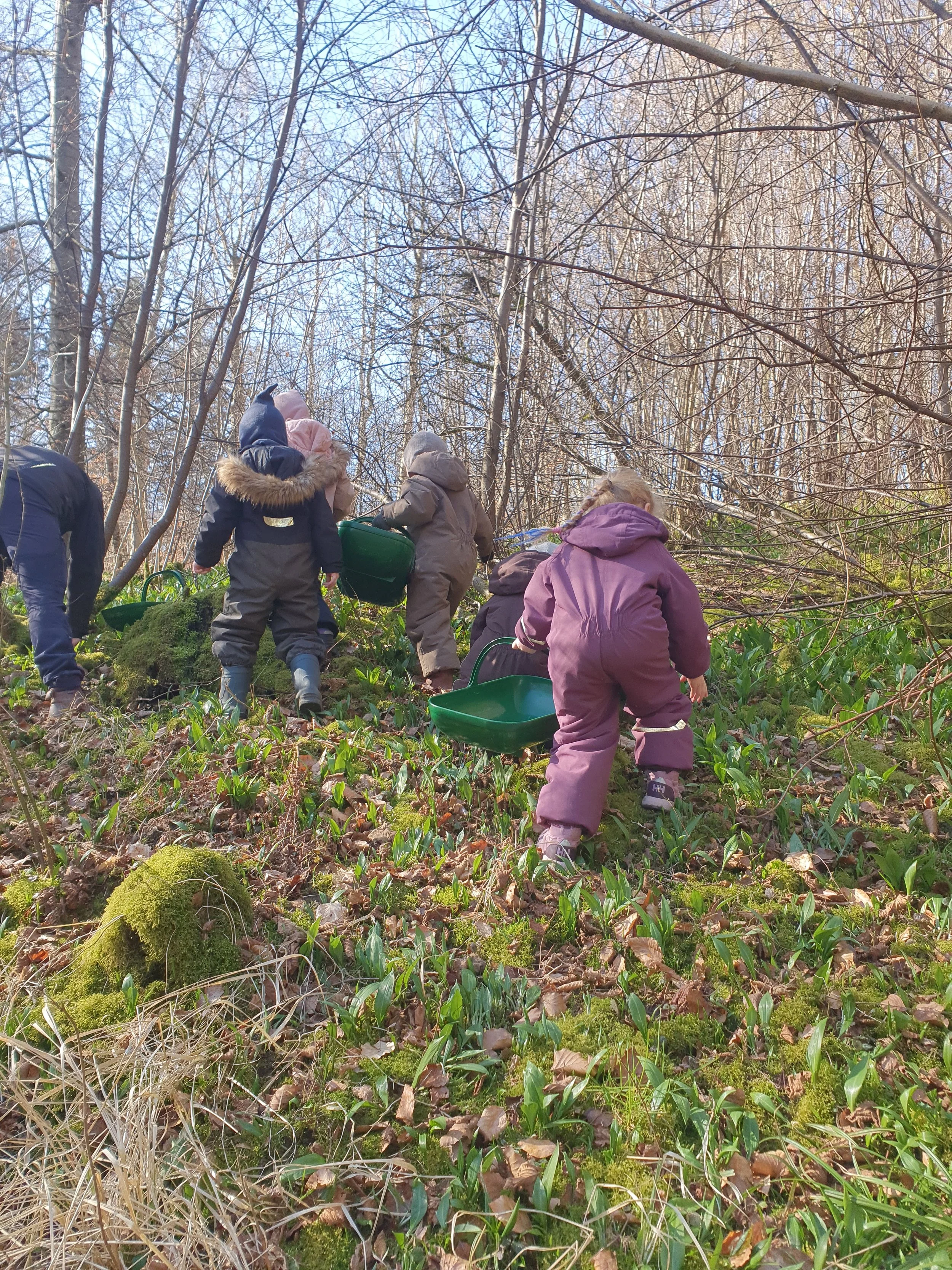 Børn går i en skov, de bærer spand, sandsæk eller lignende og søger på jorden blandt grønne planter og mos.