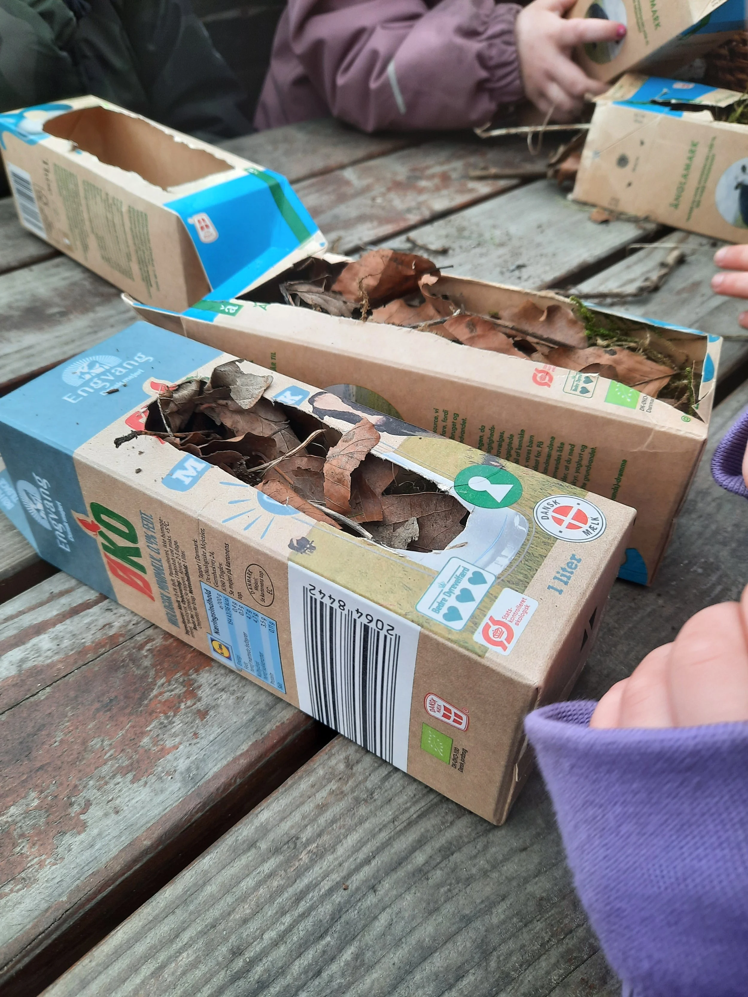 Krible Krable projekt igennem Naturvejledning Danmark