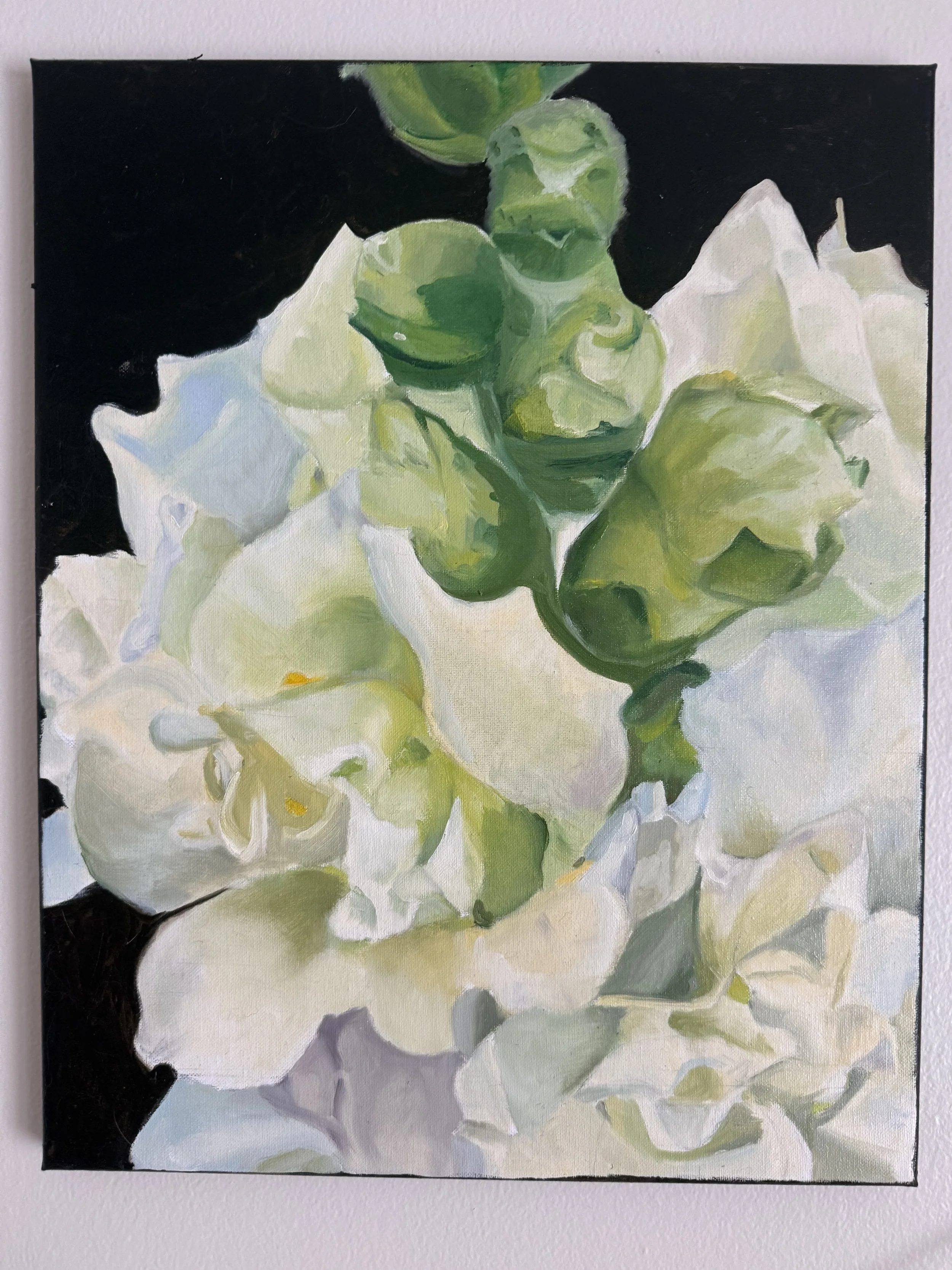 A painting of white and light green flowers with a dark background.