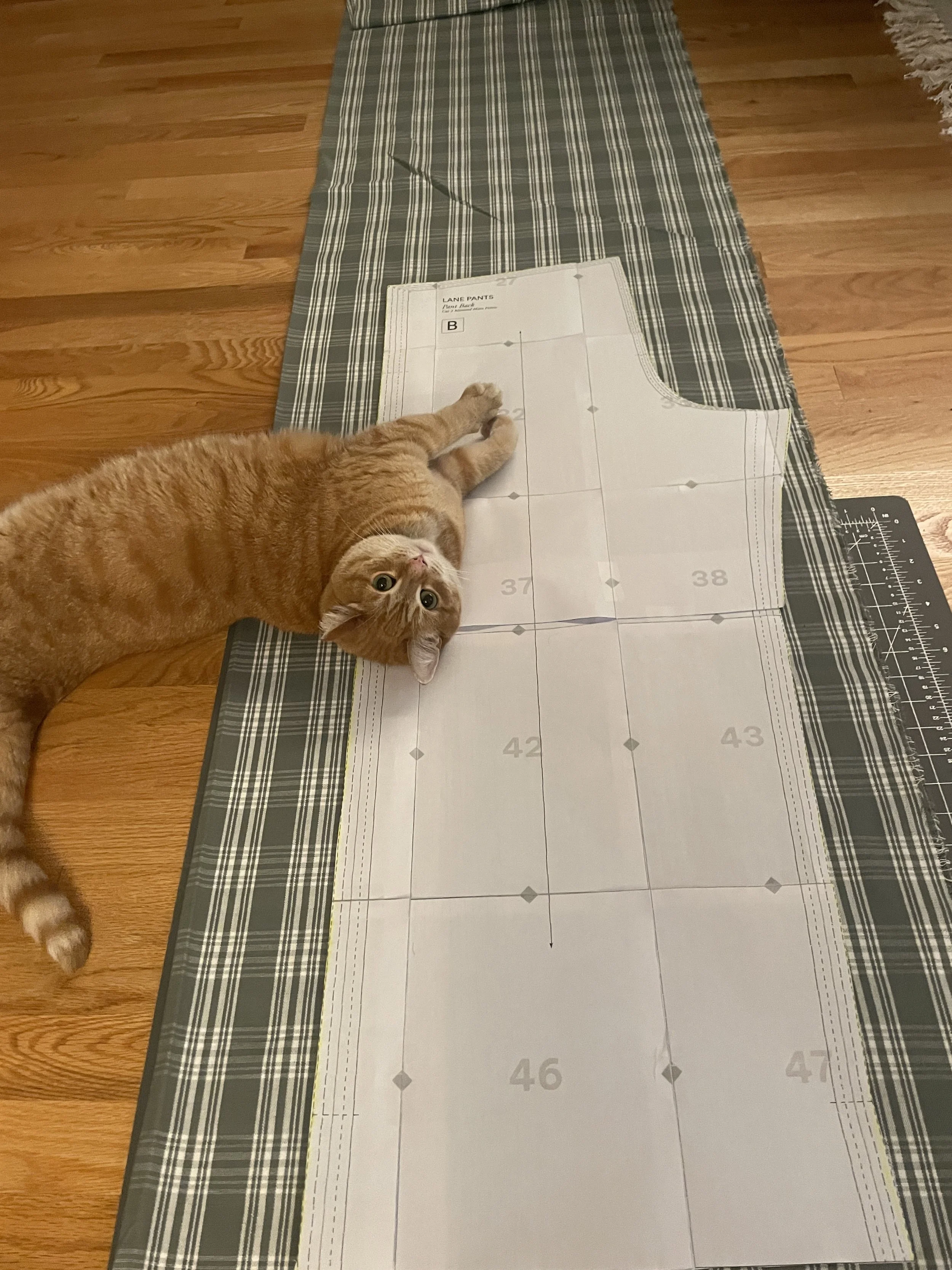 An orange tabby cat laying next to sewing pattern paper and fabric.