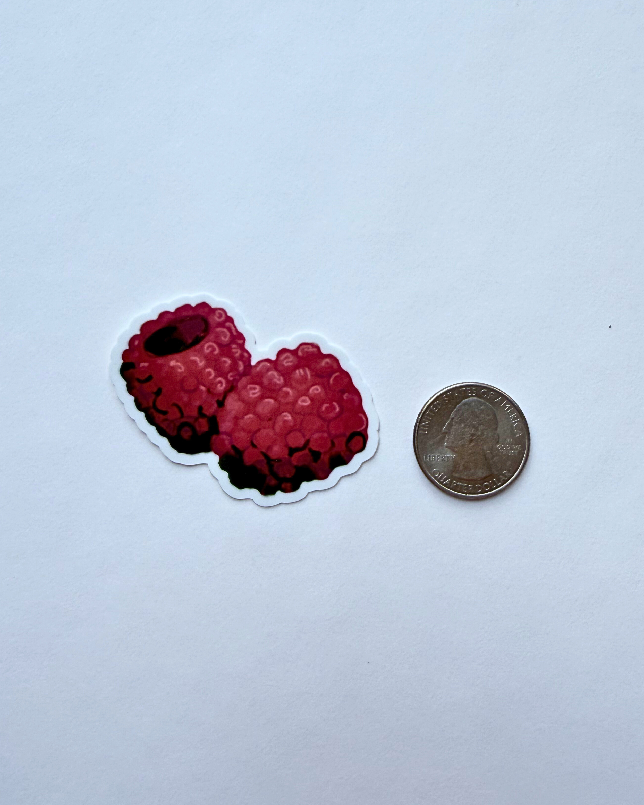 Raspberry 1.png