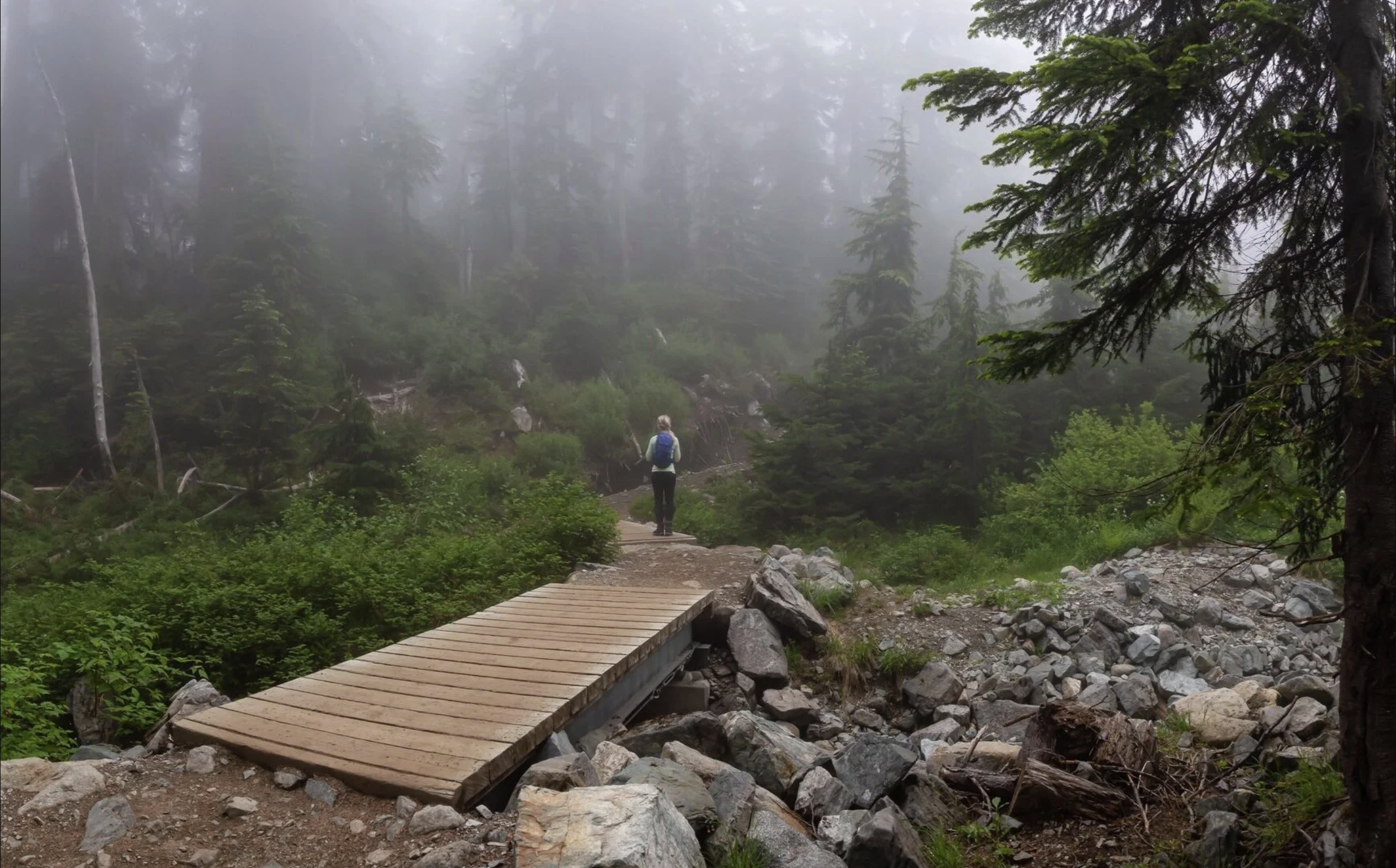Cypress Provincial Park