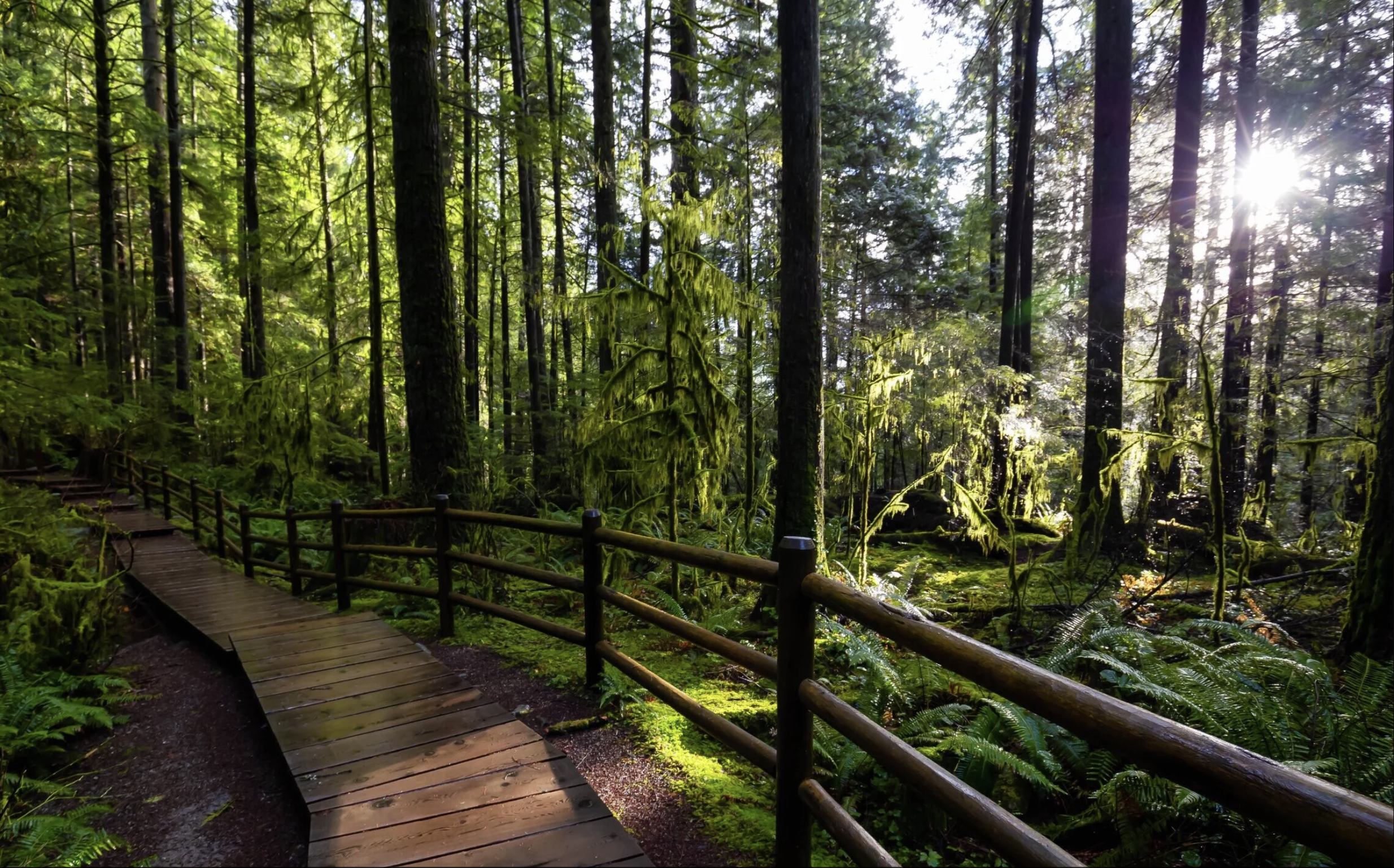 Lynn Headwaters