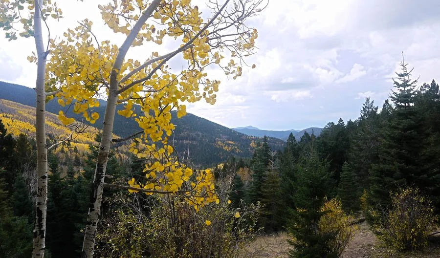 Losing Our GPS, Finding Ourselves