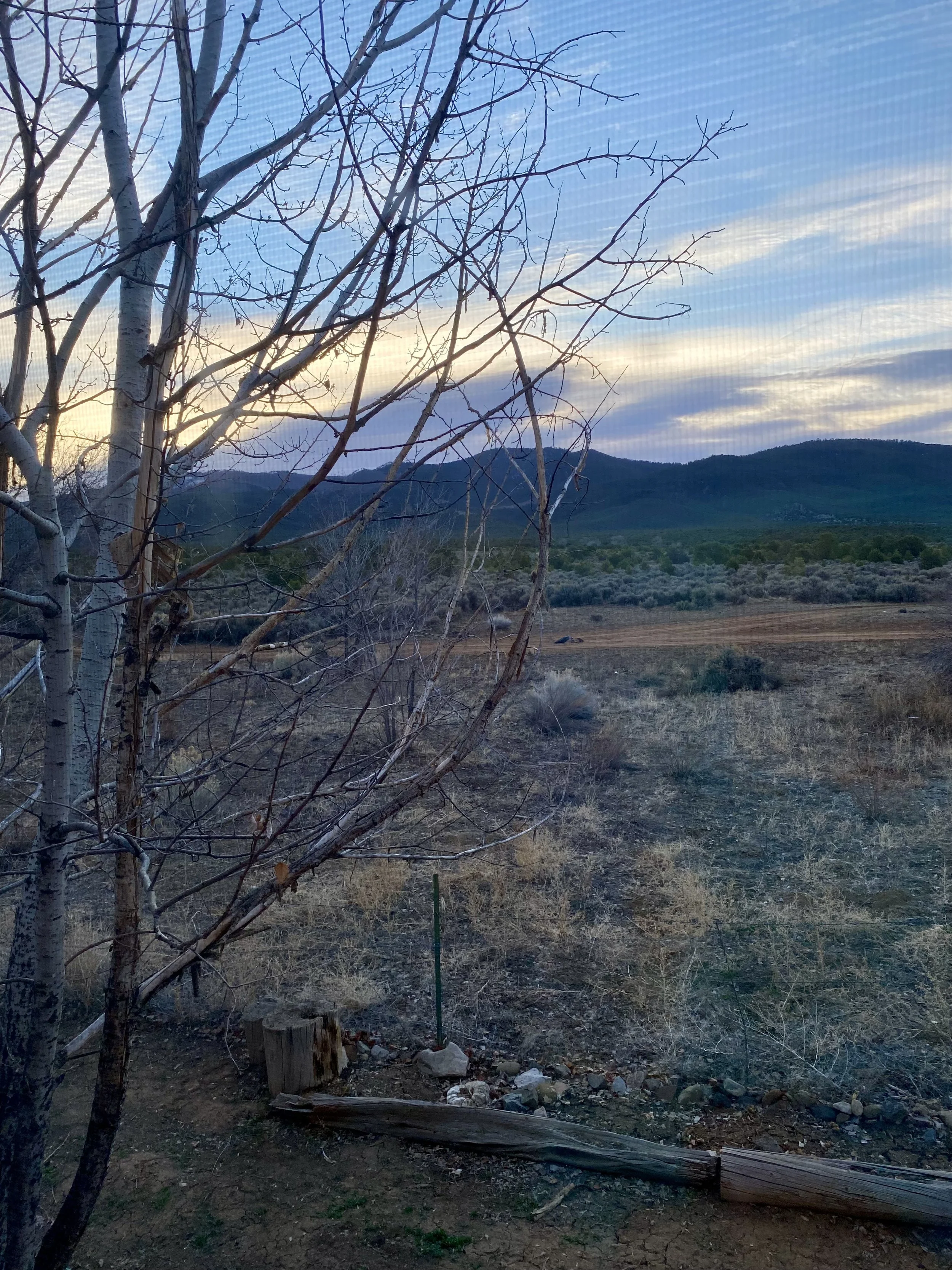 Moody shot of the outside, mountain range in the distance.