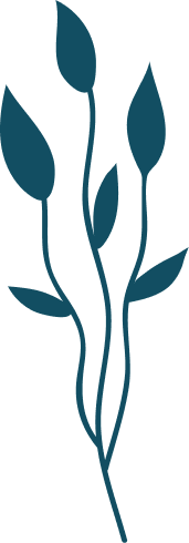 Graphic of navy leafy plant