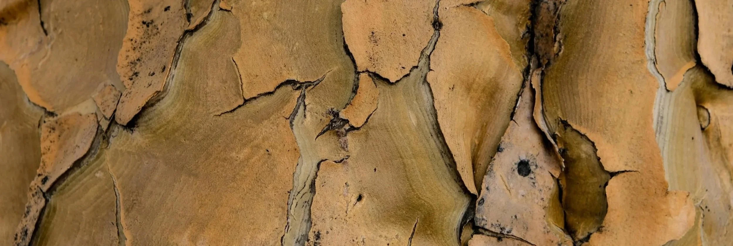 stone texture