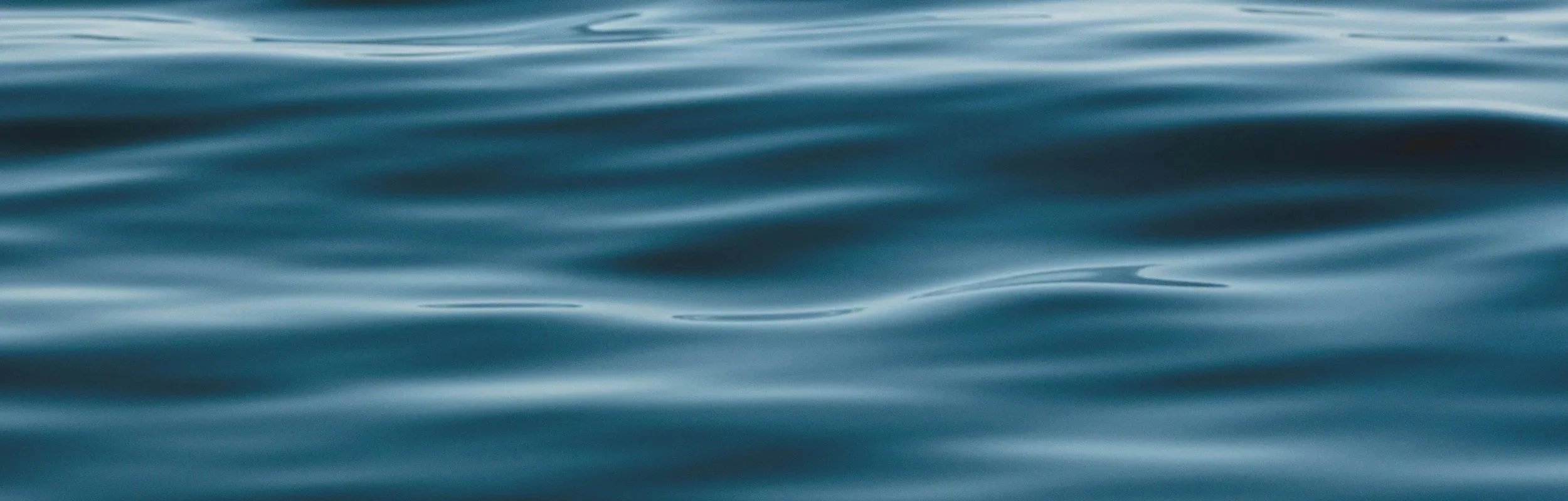 The World Residences Yacht