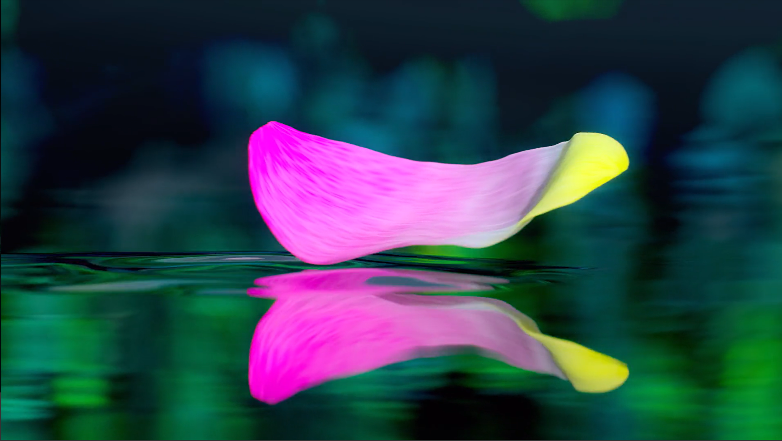 VIZIO Picture Quality