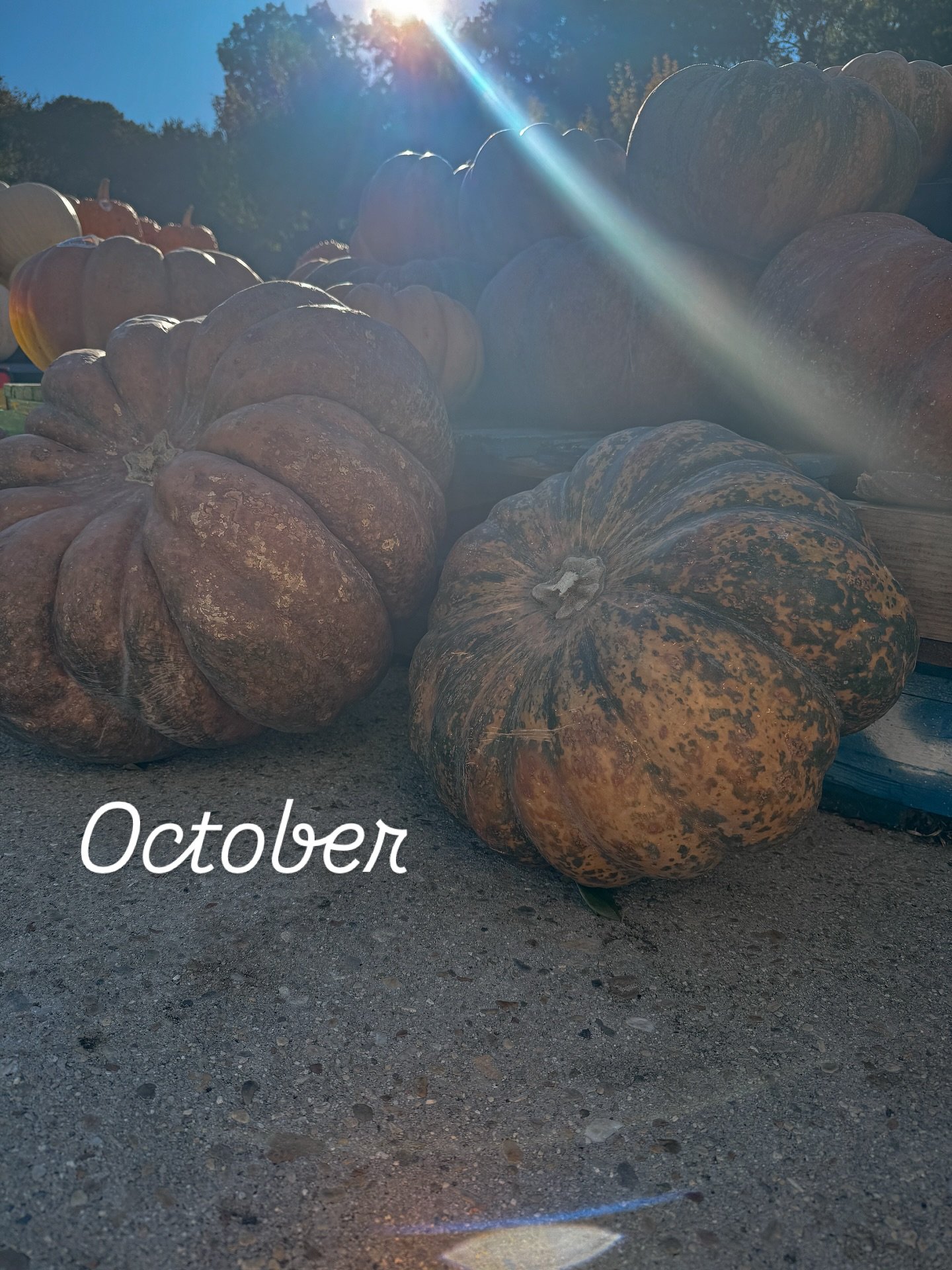 October you were quick and exhausting