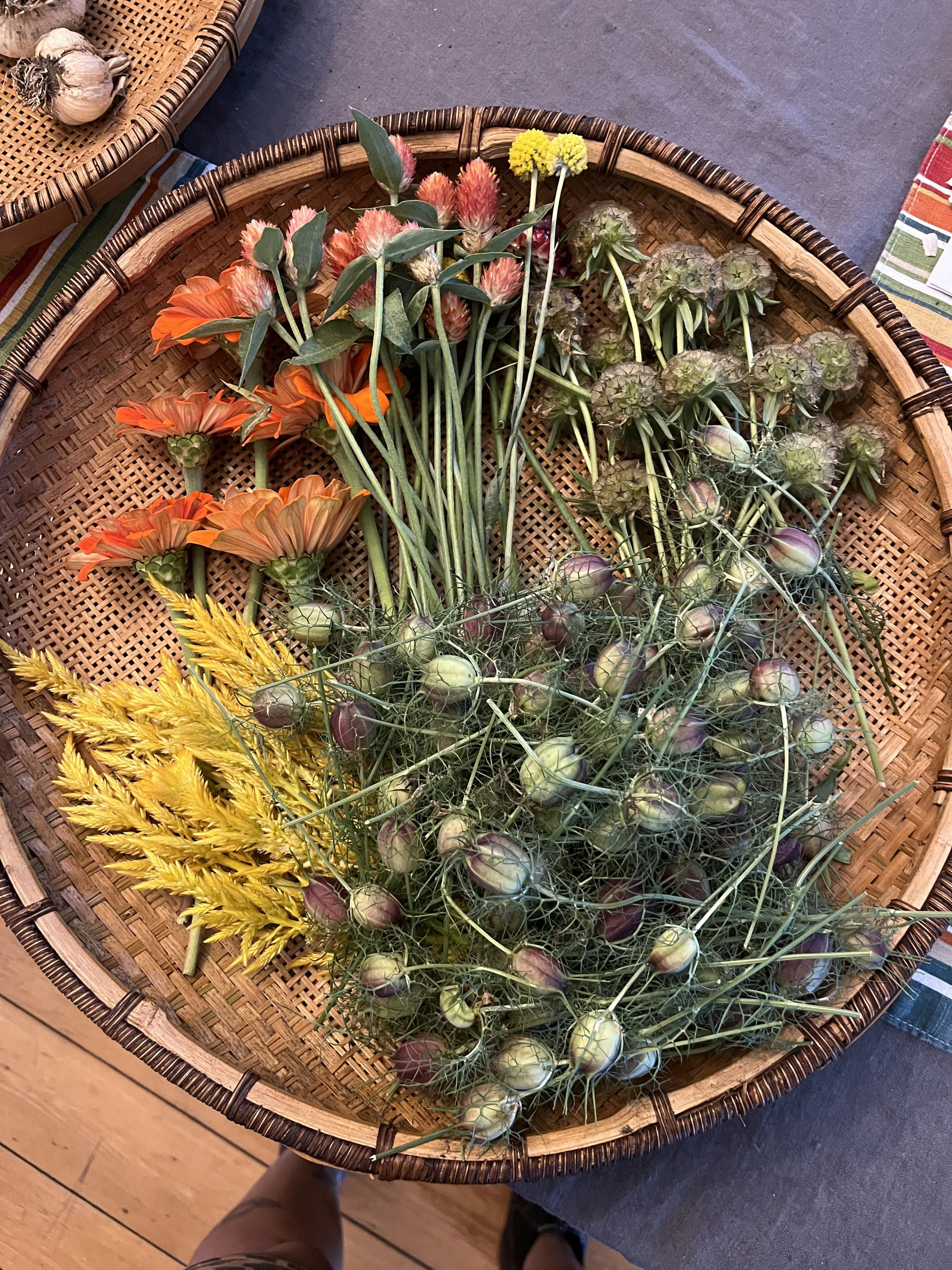 From Seed To Tea: A Workshop With Gentle Strength Herbal Co-op