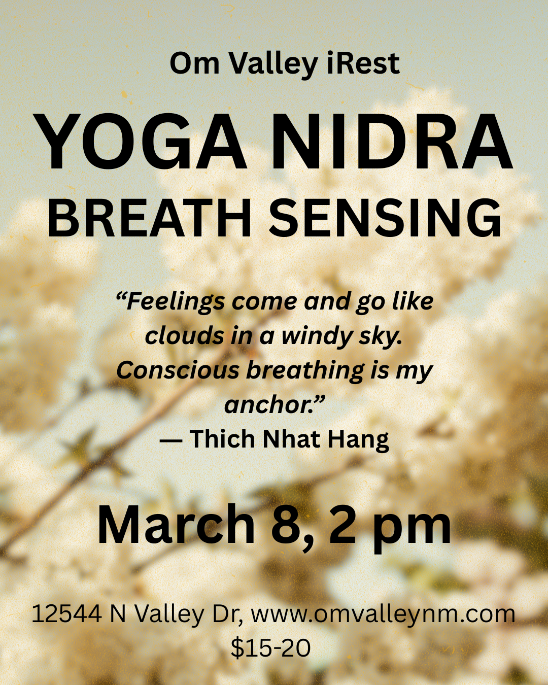 iRest Yoga Nidra