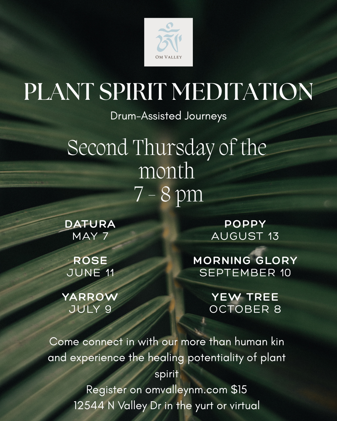 Plant Spirit Meditation