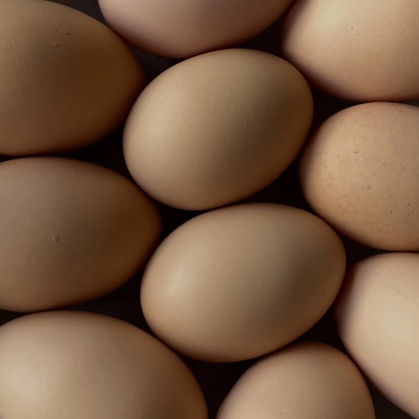 Flower content is limited for us in the winter. I can make up for it with chicken and eggs instead. lol