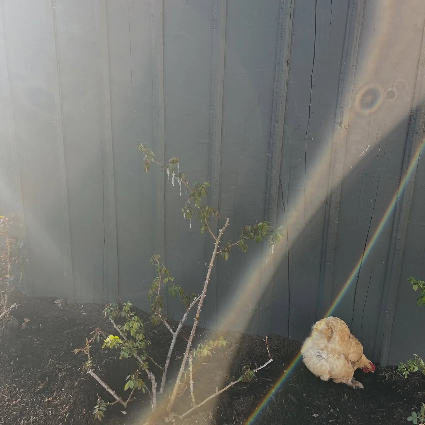 This weather is 👎🏼