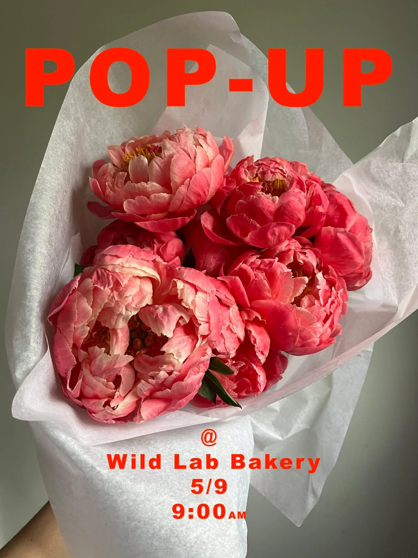 Baby's first Pop-Up. We will be at @wildlabbakery 5/9, 9-sell out? We'll have peonies! Come see us? ❤️