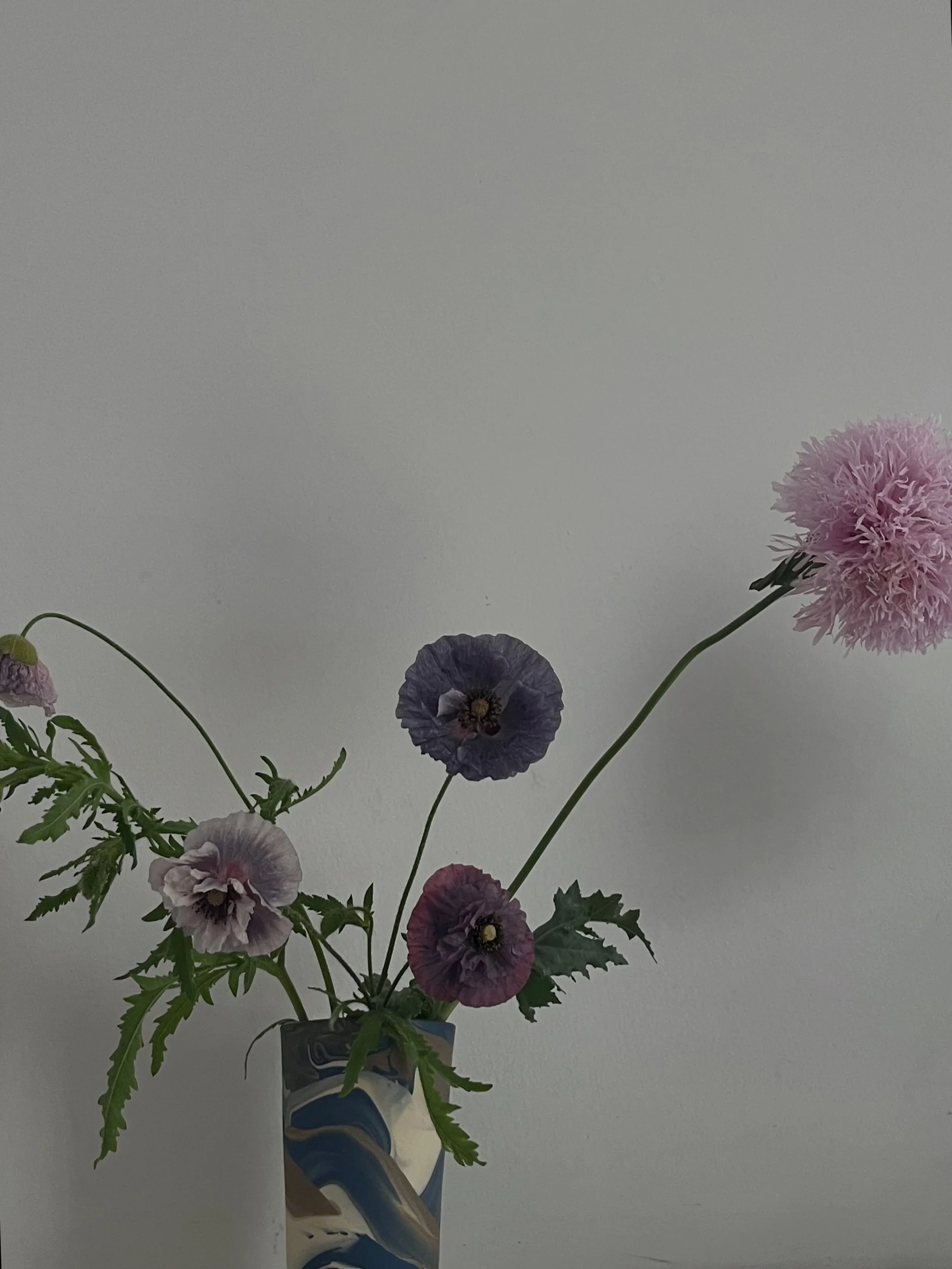 Yesterday flowers.