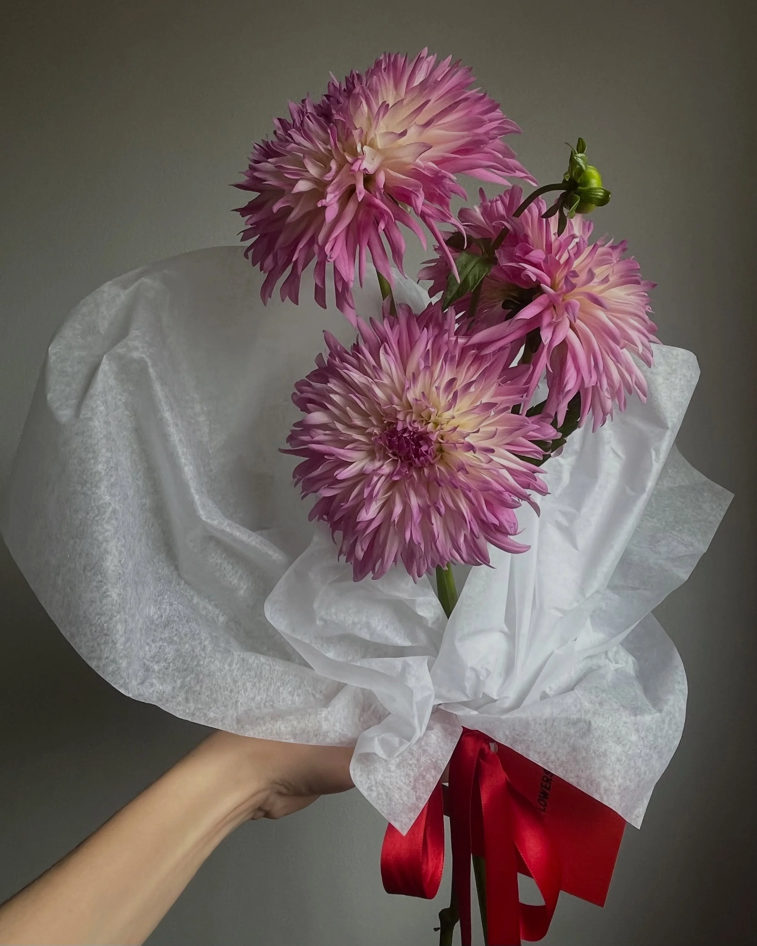 ❤️&zwj;🔥 𝓫𝓸𝓾𝓺𝓾𝓮𝓽 𝓭𝓻𝓸𝓹 ❤️&zwj;🔥

Last dahlia bouquet of the season available for porch pick up in Lexington, Kentucky. 

$25 + tax

You can pick it up with your fresh eggs! 

DM to reserve