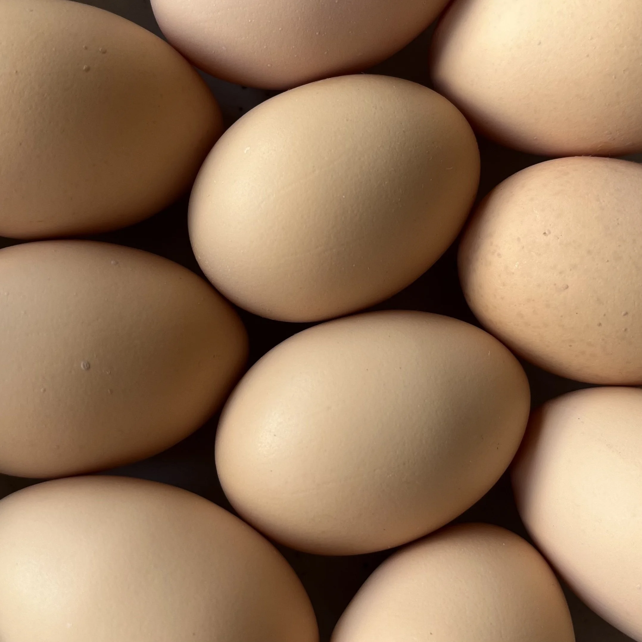 eggs.jpg
