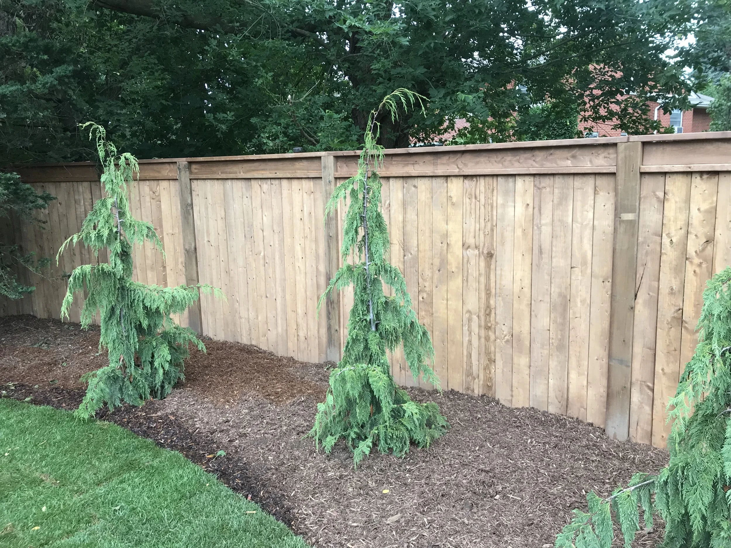 Fence - 6' height, 6 x 6 with I-Beam top.jpeg