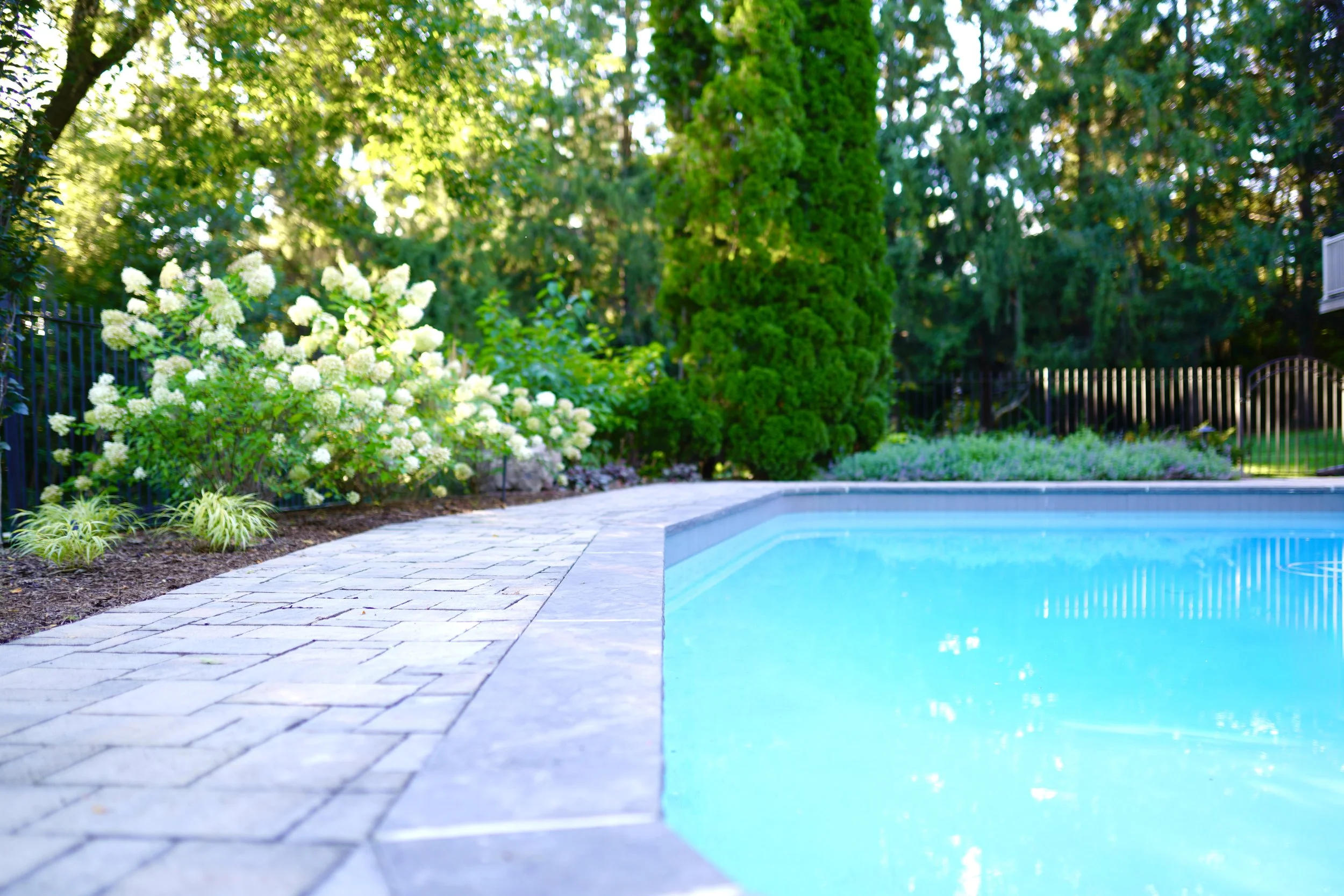 Irregular Pool Contour