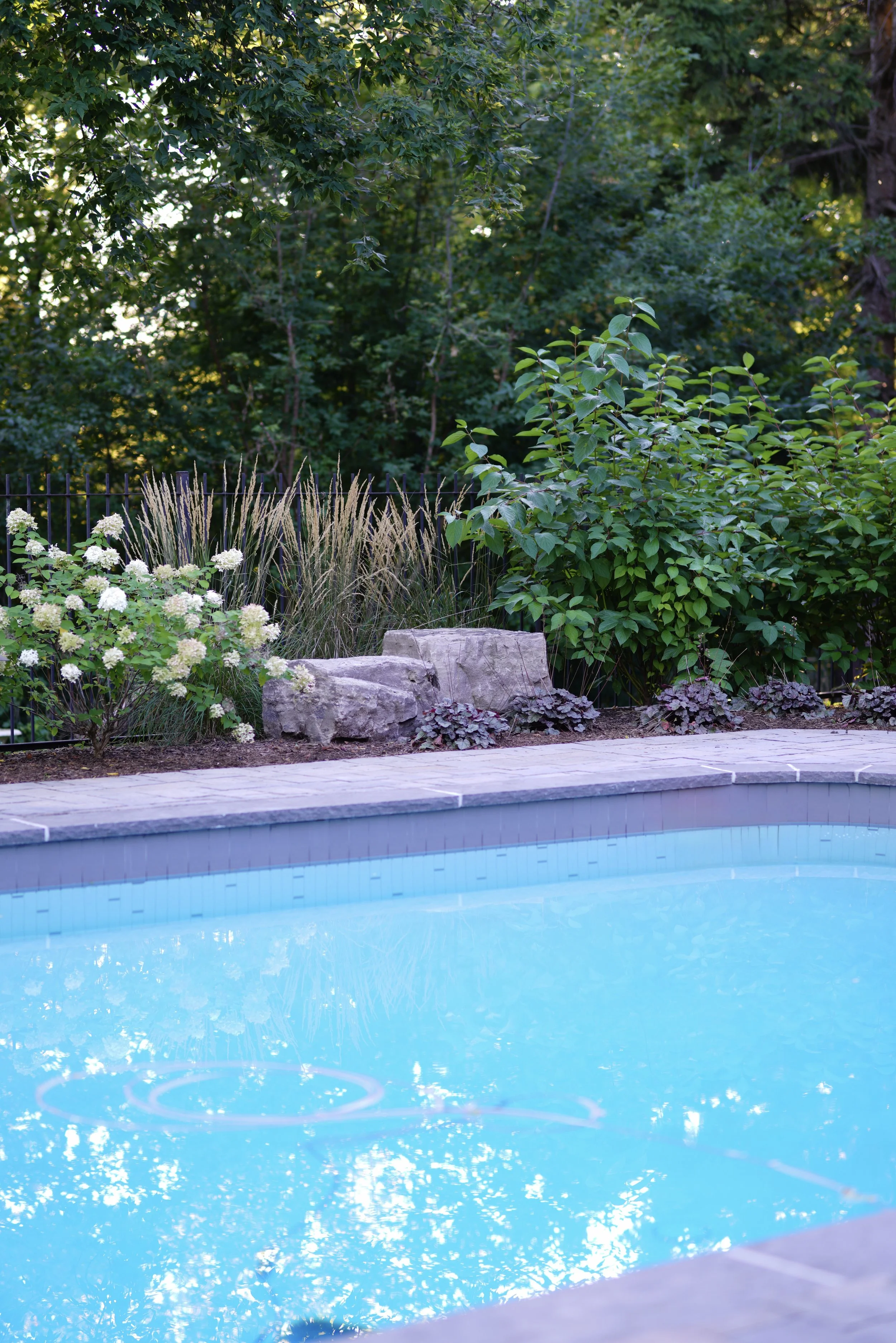 DSC09123.JPG