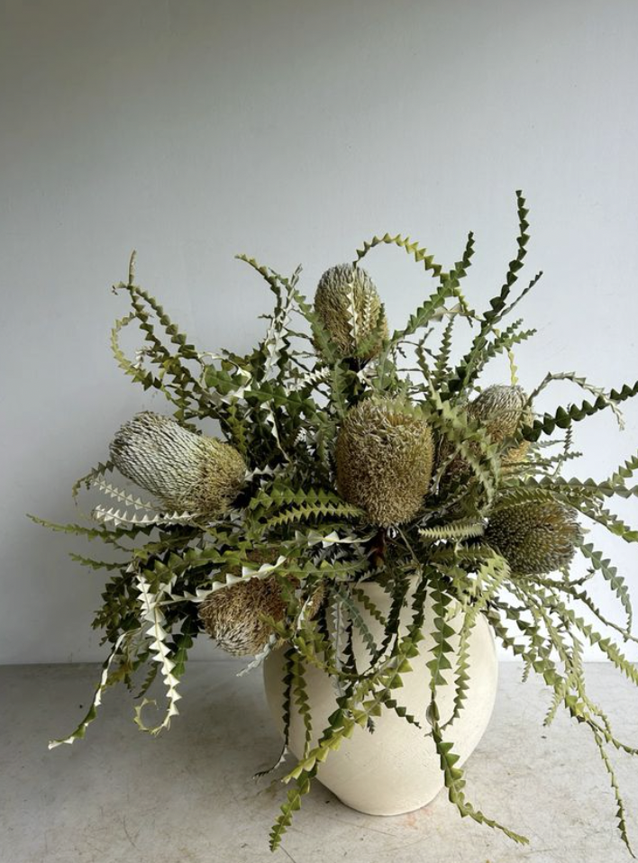 A white vase containing a dried plant arrangement with multiple large, fuzzy, oval-shaped flower heads and long, spiky green leaves.