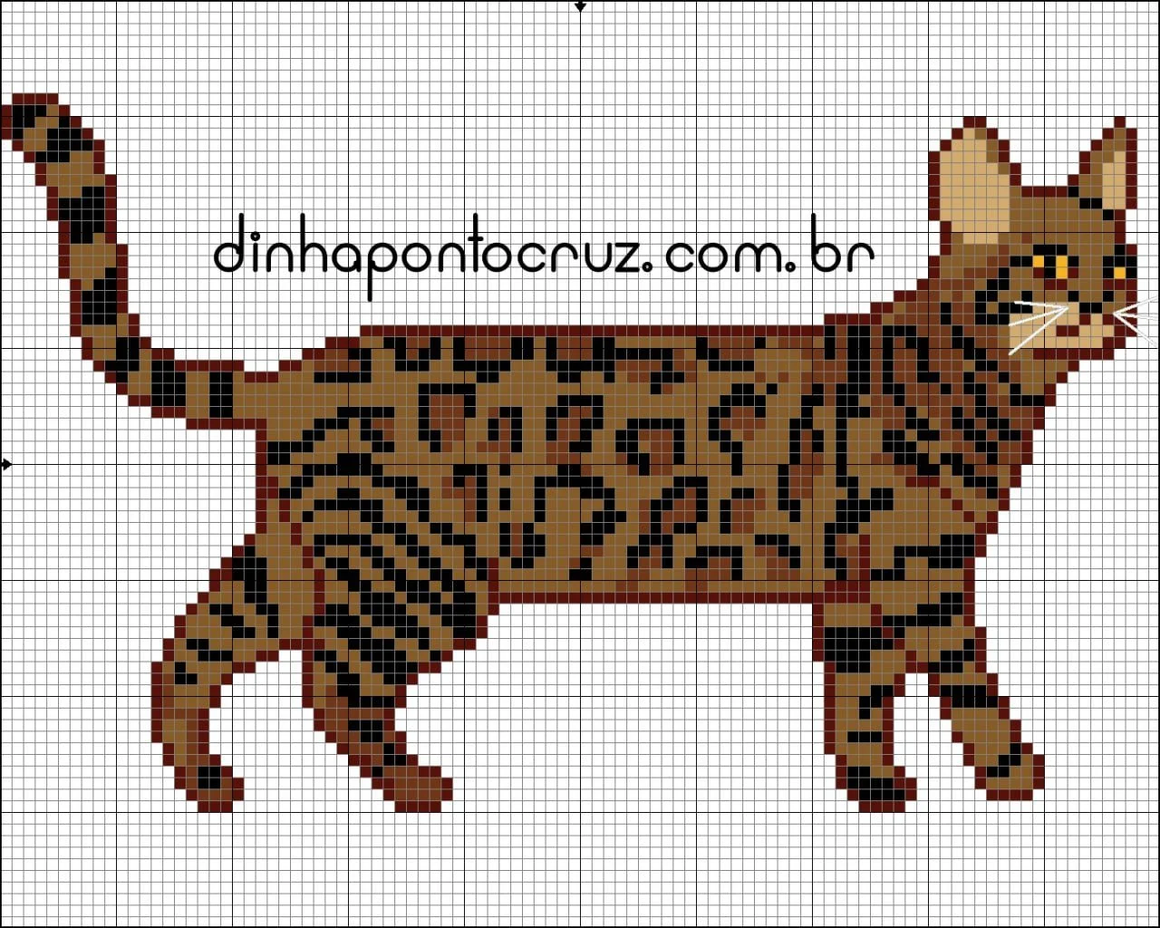 photo_2026-03-05_16-45-53 (2).jpg