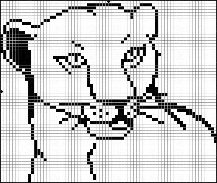 photo_2026-03-05_16-45-51 (2).jpg